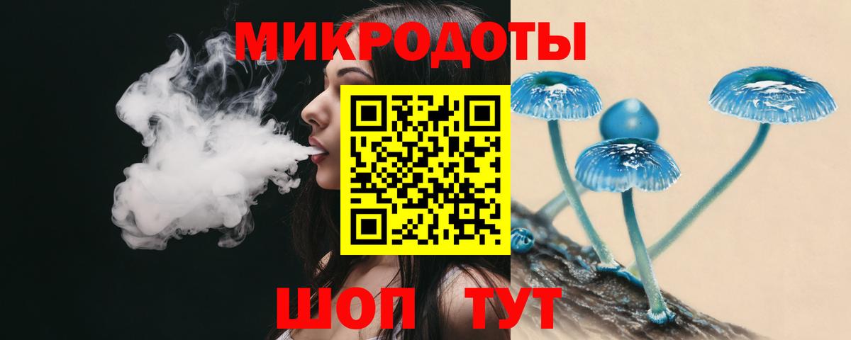 Киселёвск  Псилоцибиновые грибы ЛСД  Вход с VPN 